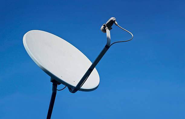 dish